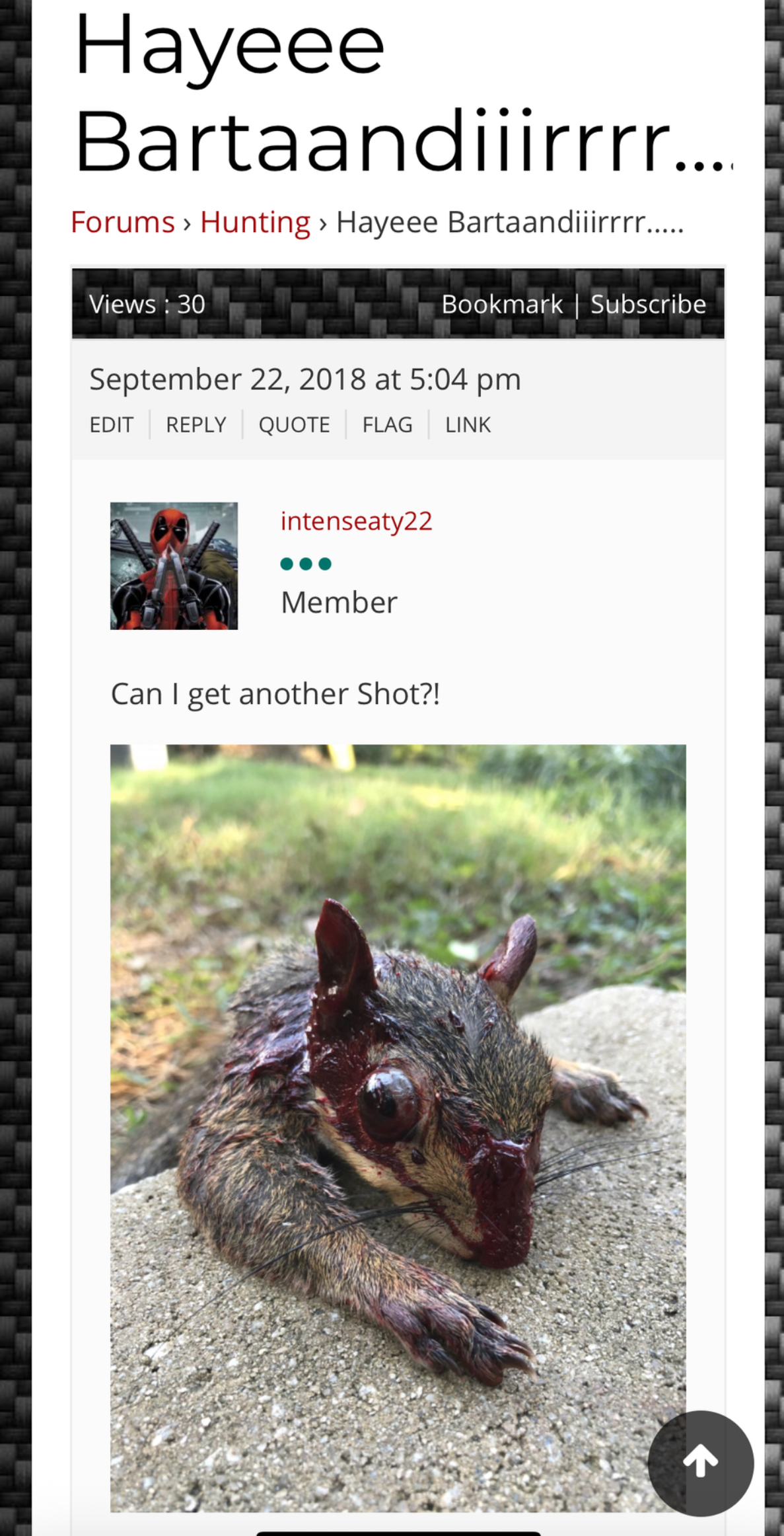 IMG_3062.jpeg