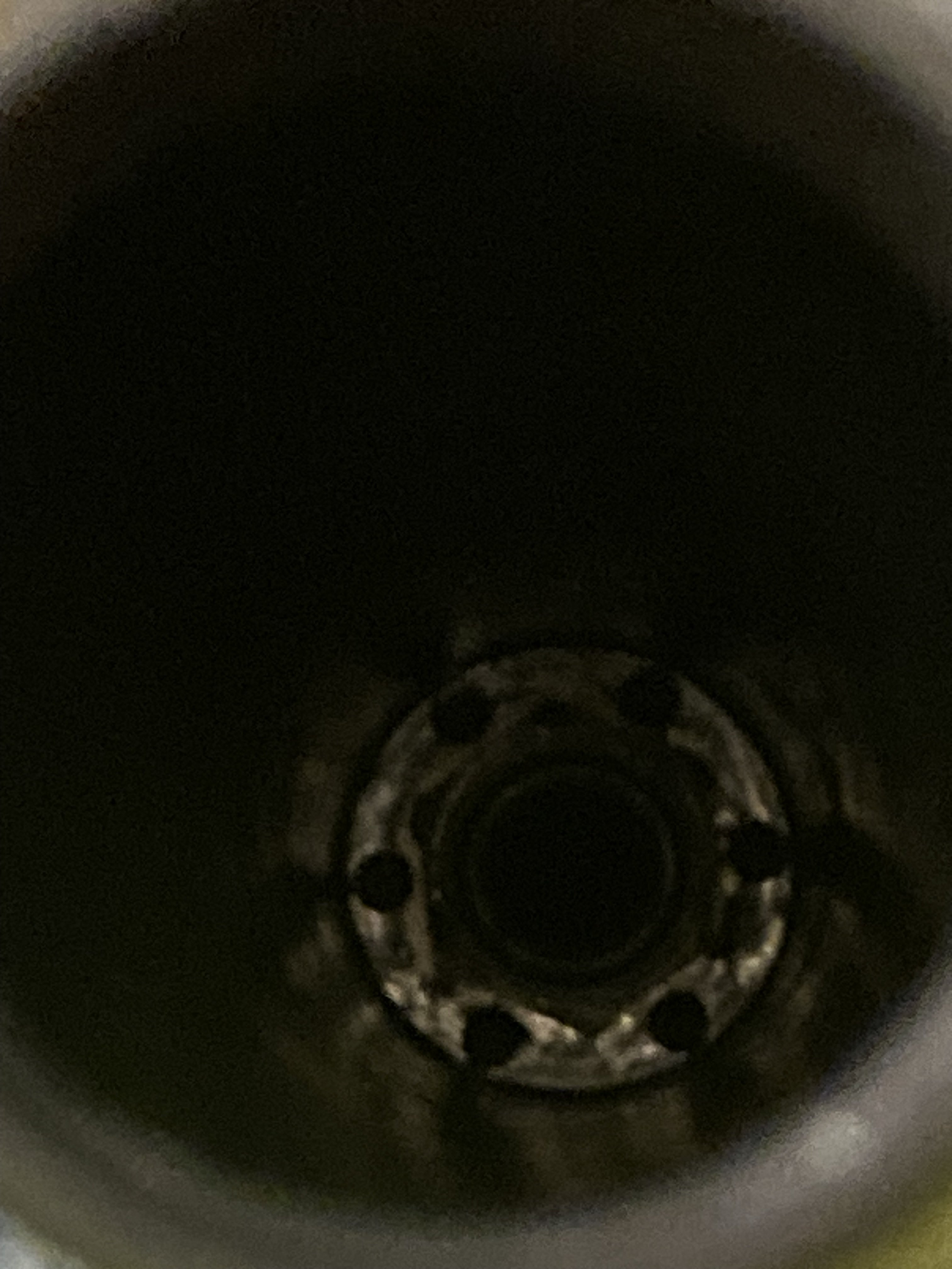 IMG_3650.jpeg