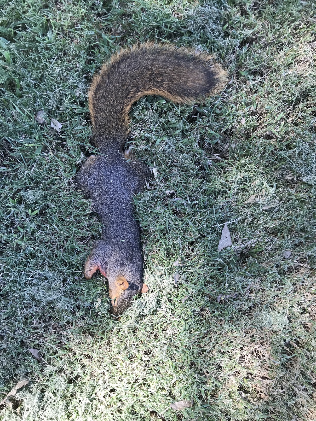 IMG_3955.JPG