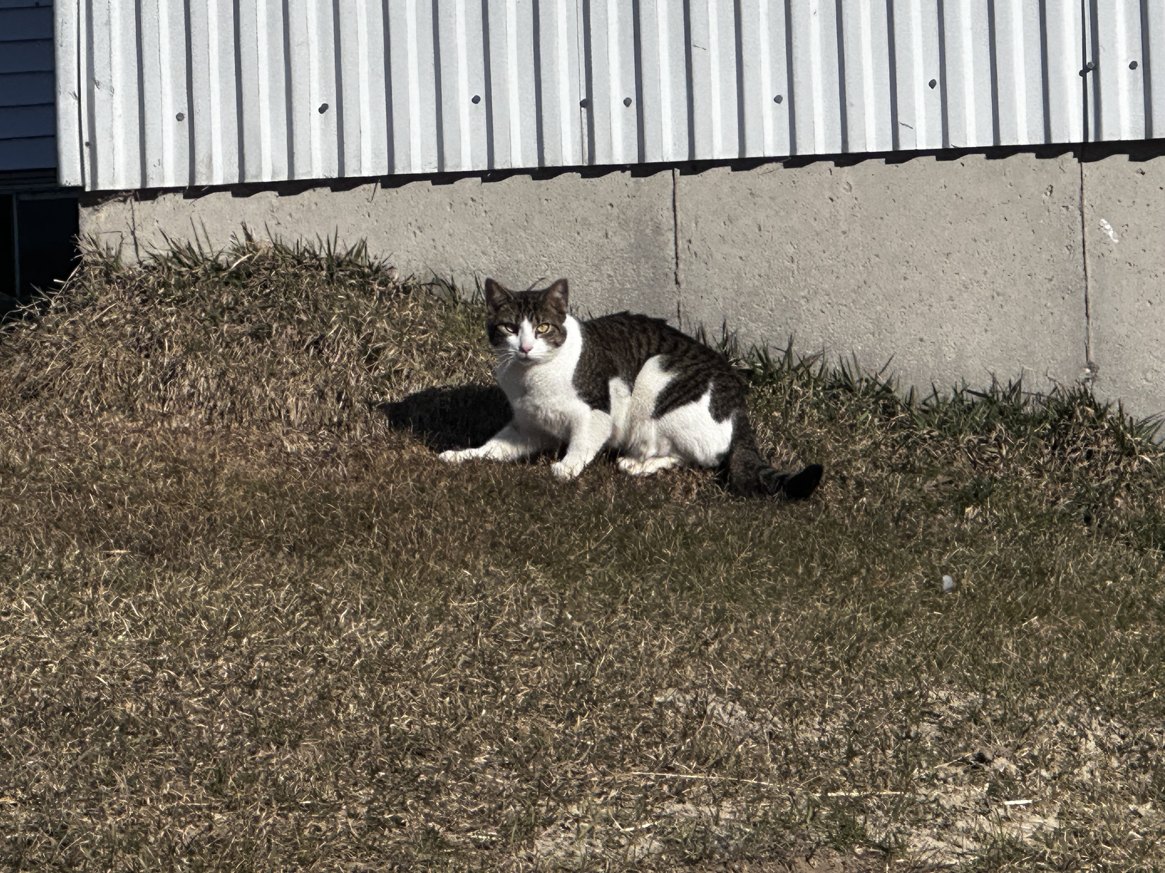 IMG_4804.jpeg