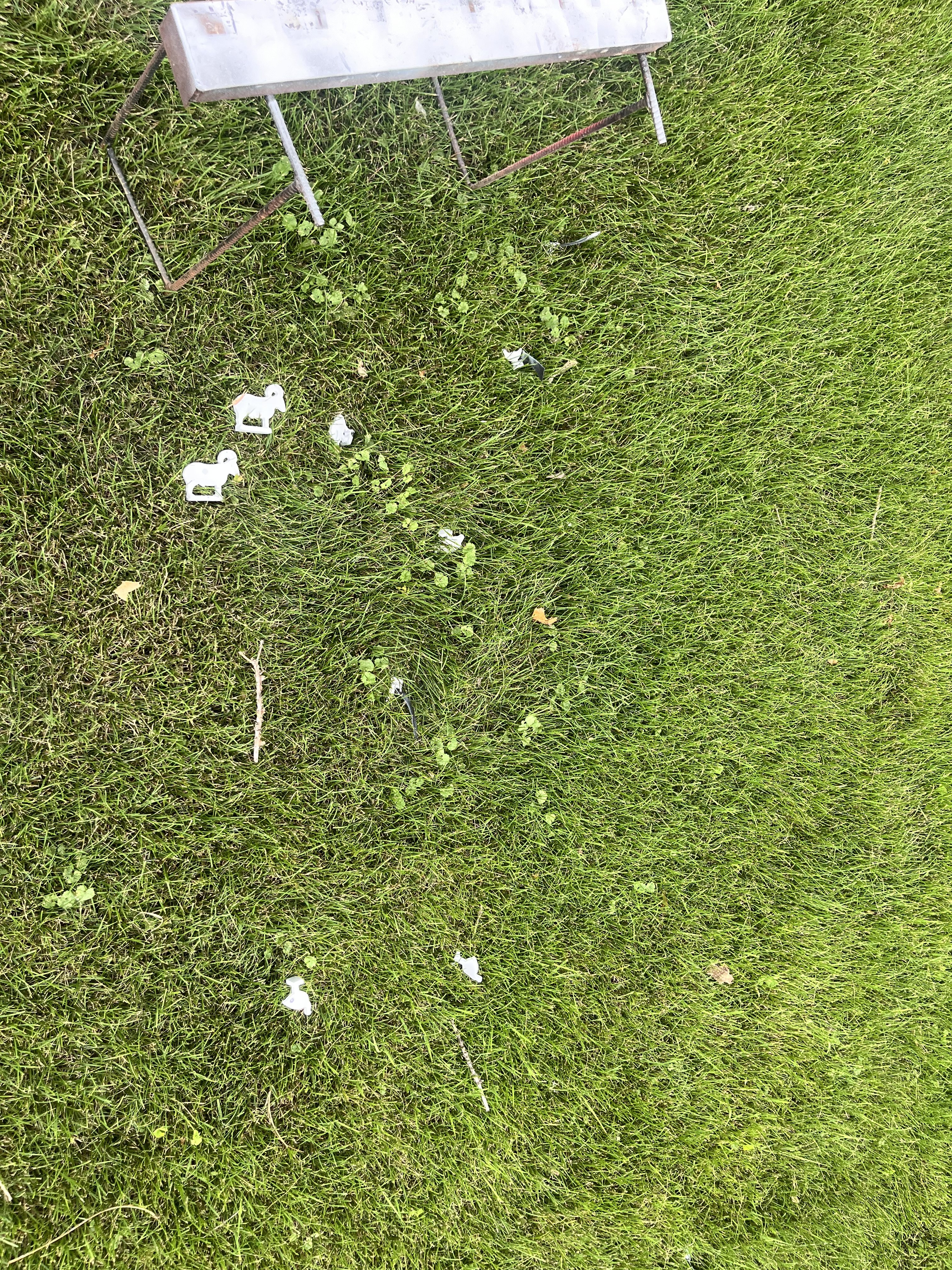 IMG_5266.jpeg
