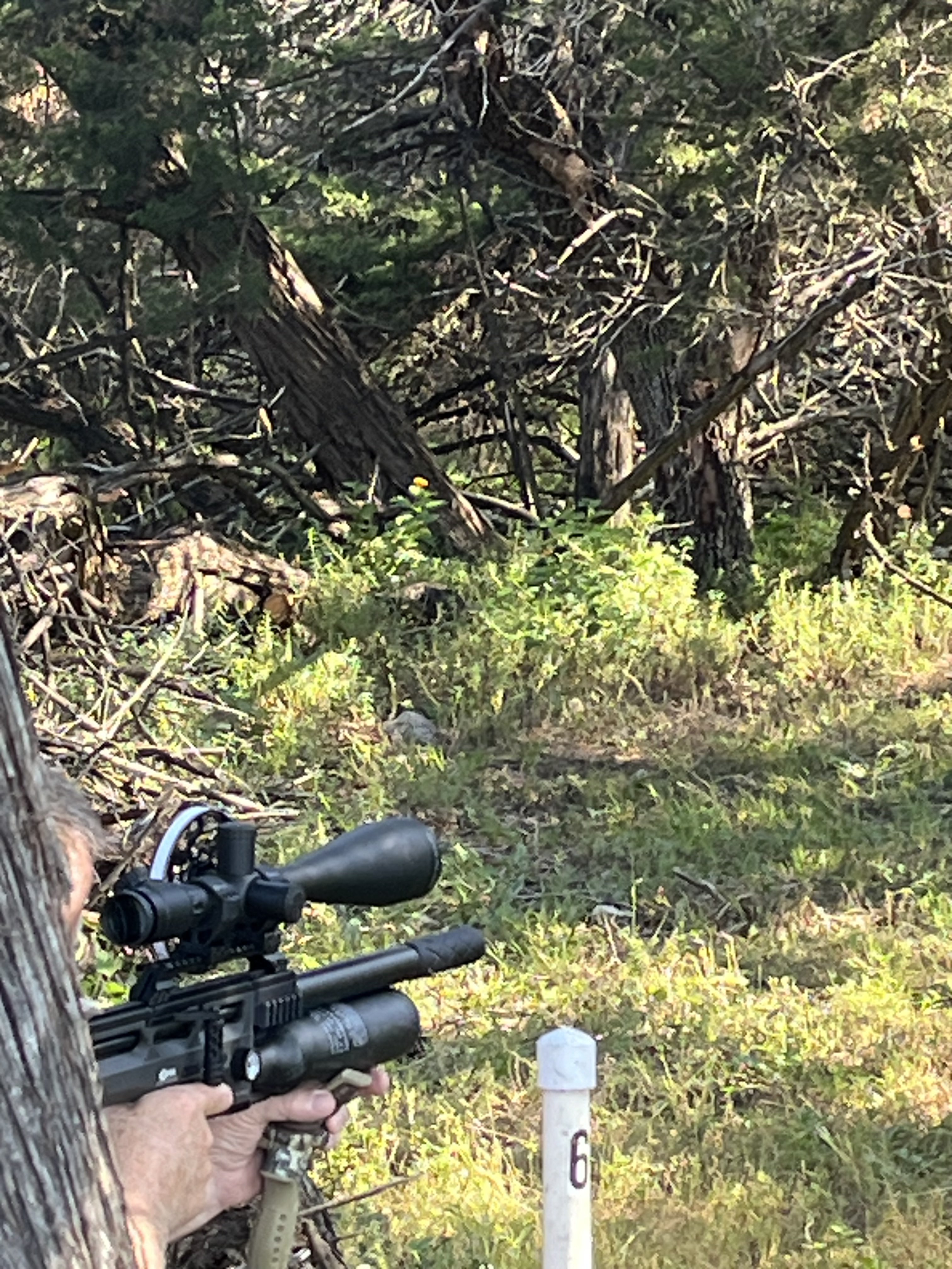 IMG_5518.jpeg