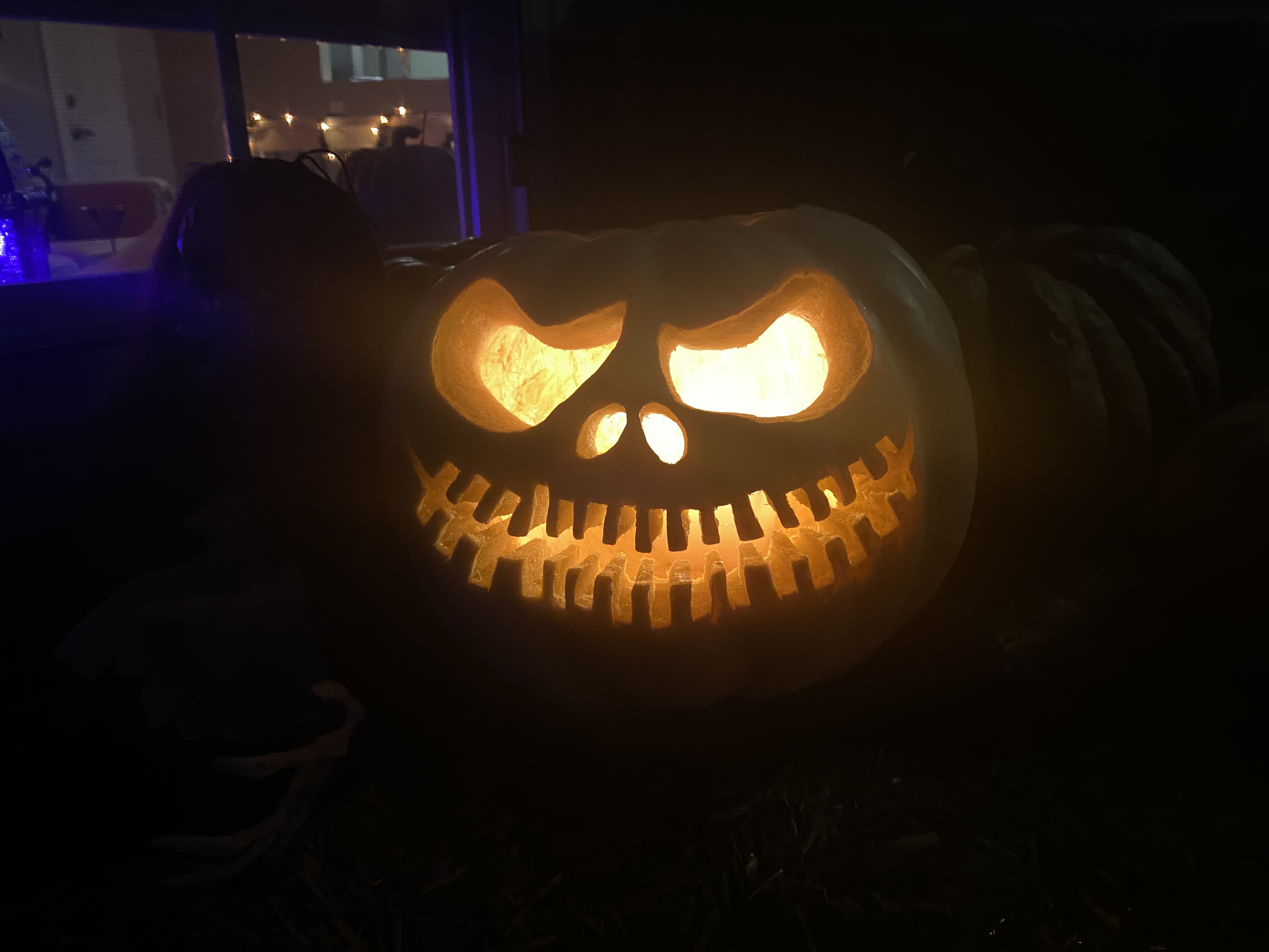 IMG_6229.jpeg