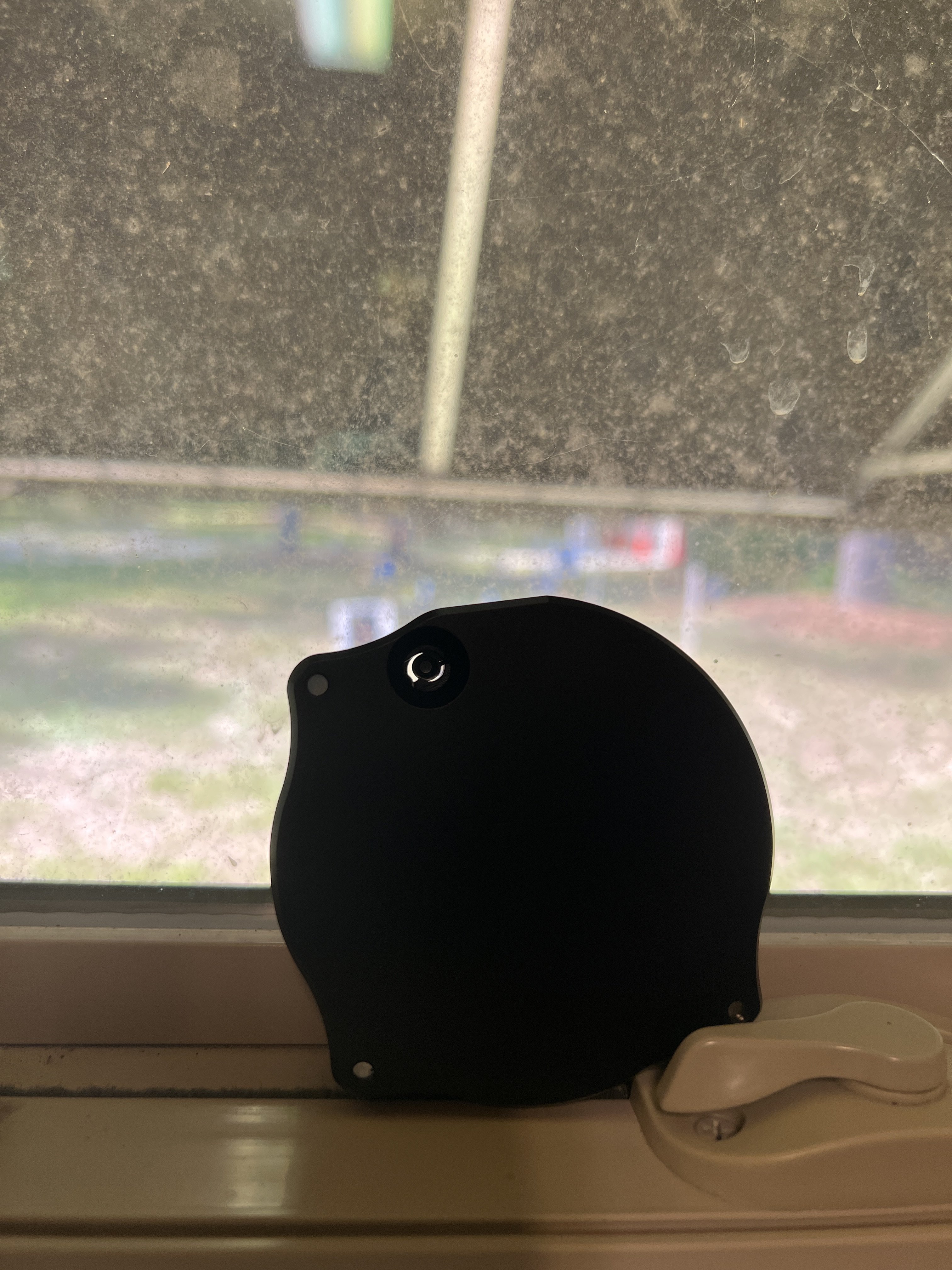 IMG_6307.jpeg