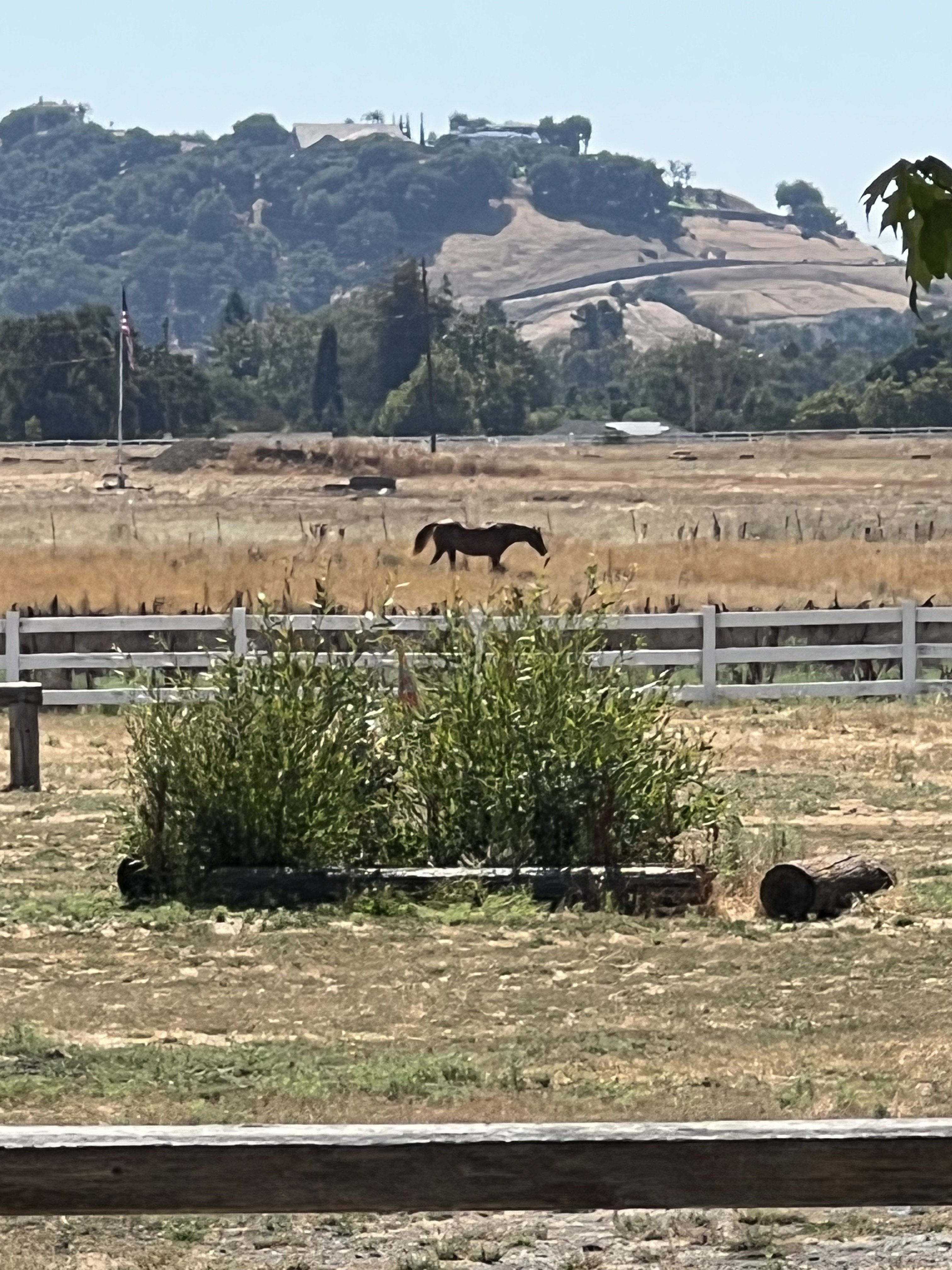 IMG_6755.jpeg