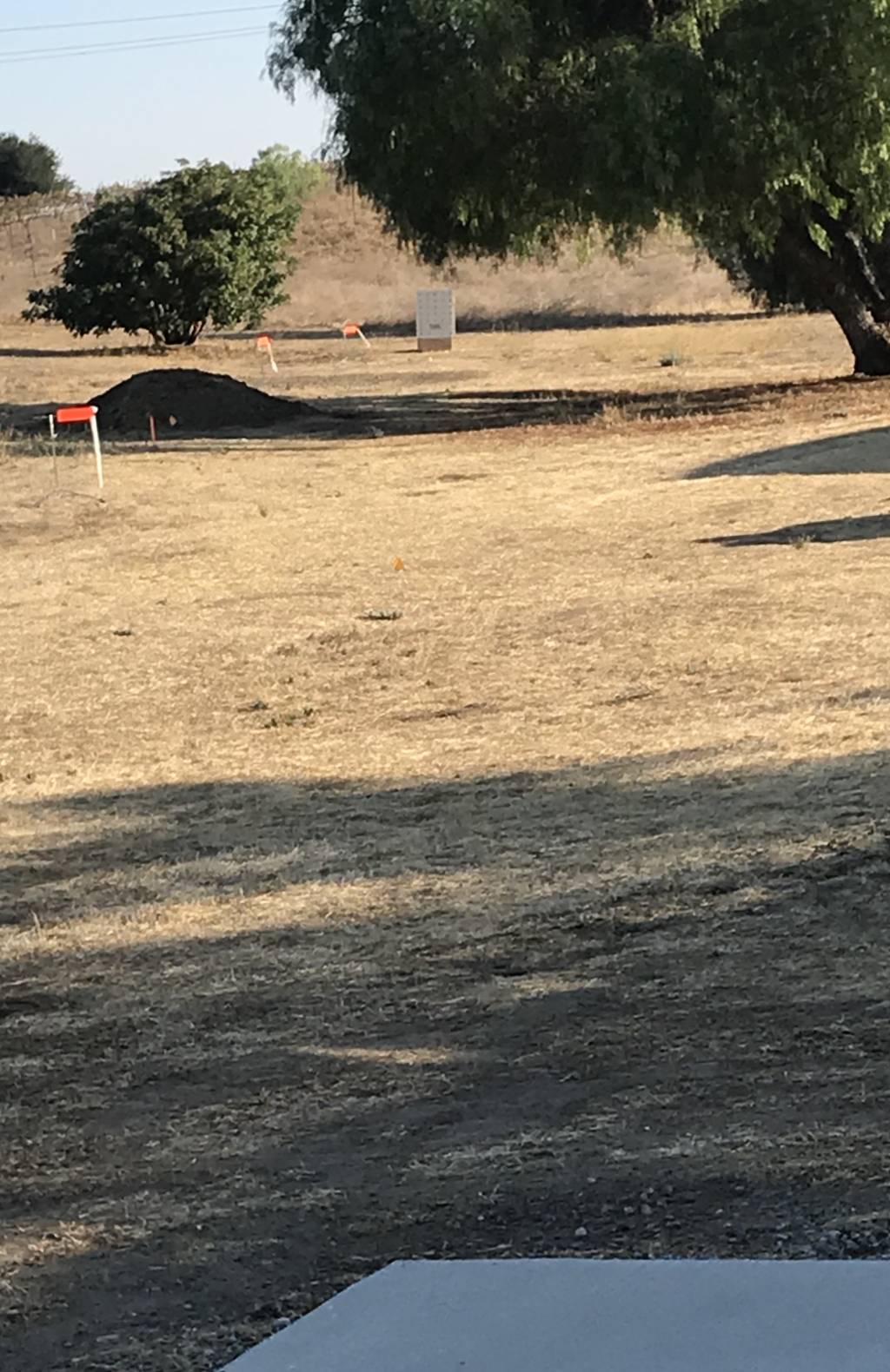 IMG_6802.1601507215.jpeg