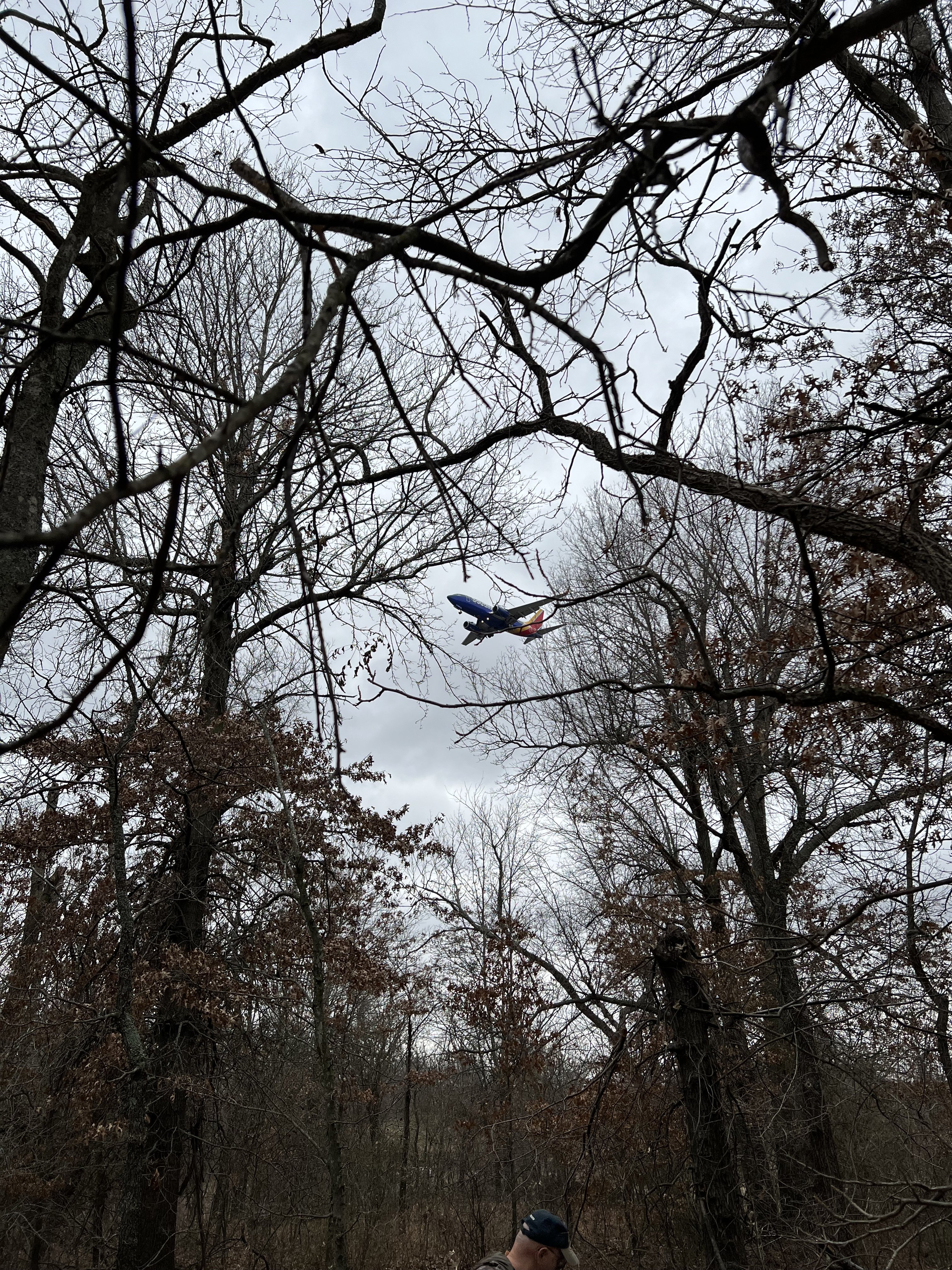 IMG_7014.jpeg