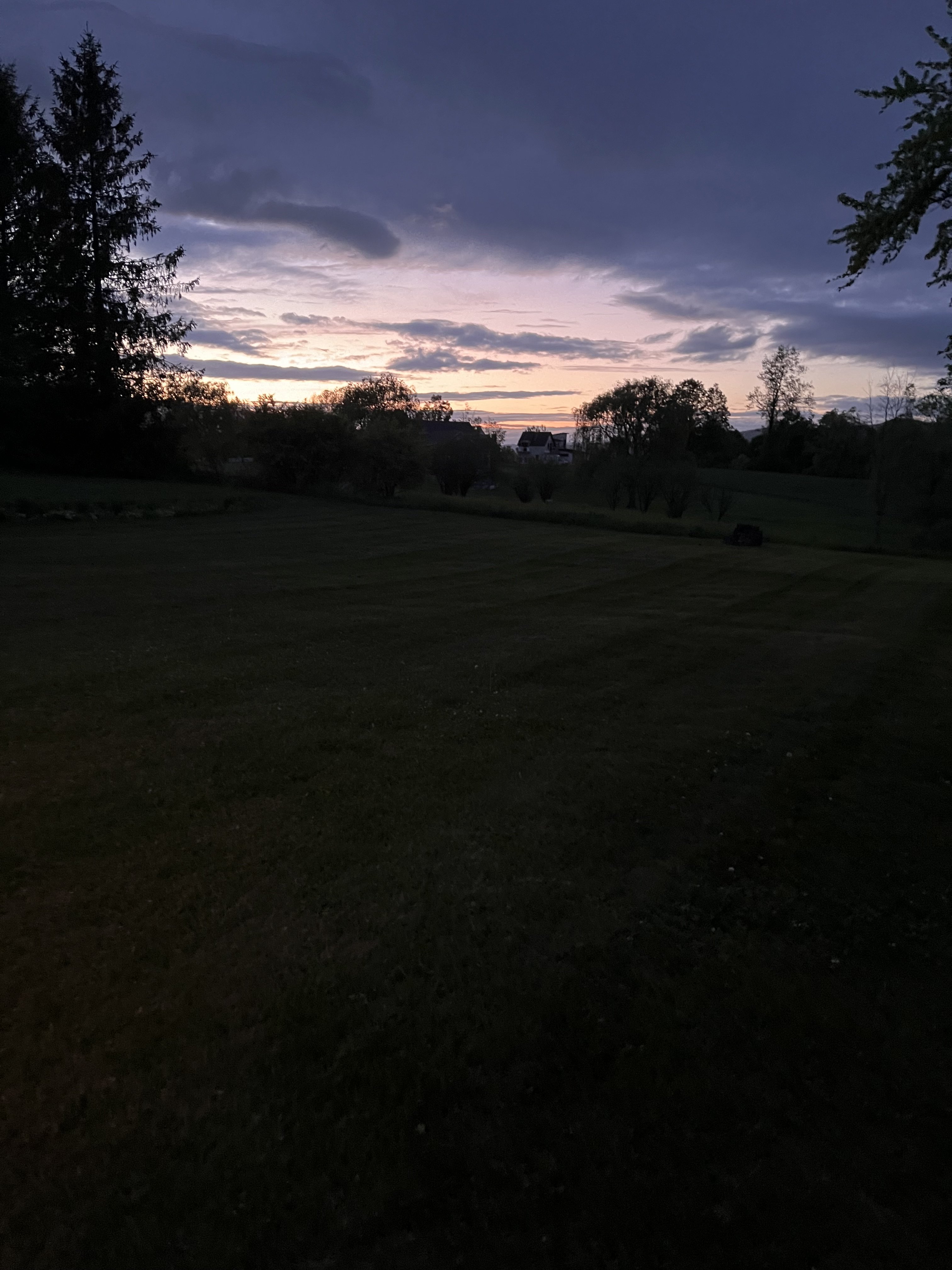 IMG_7480.jpeg