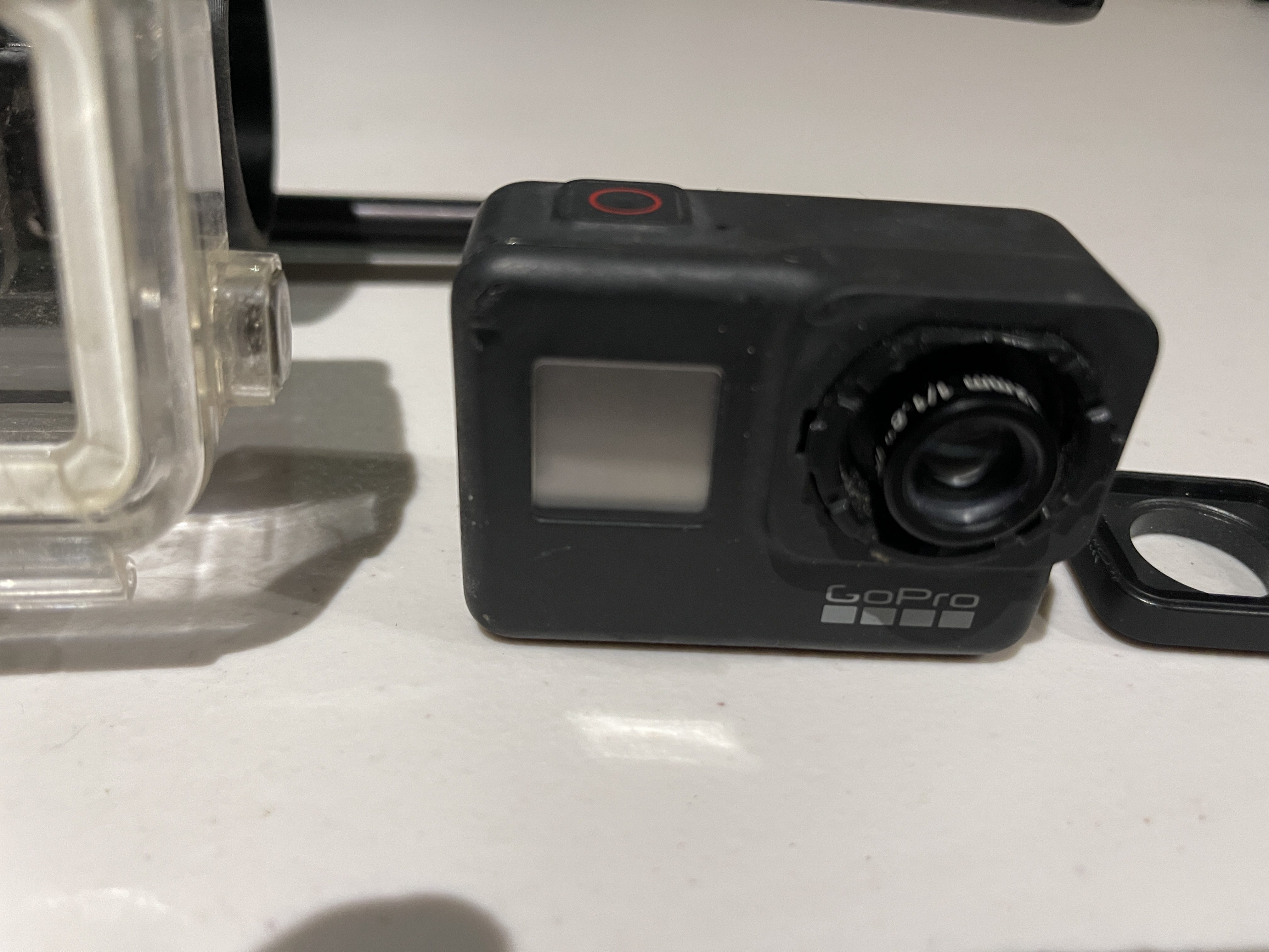 IMG_7789.jpeg
