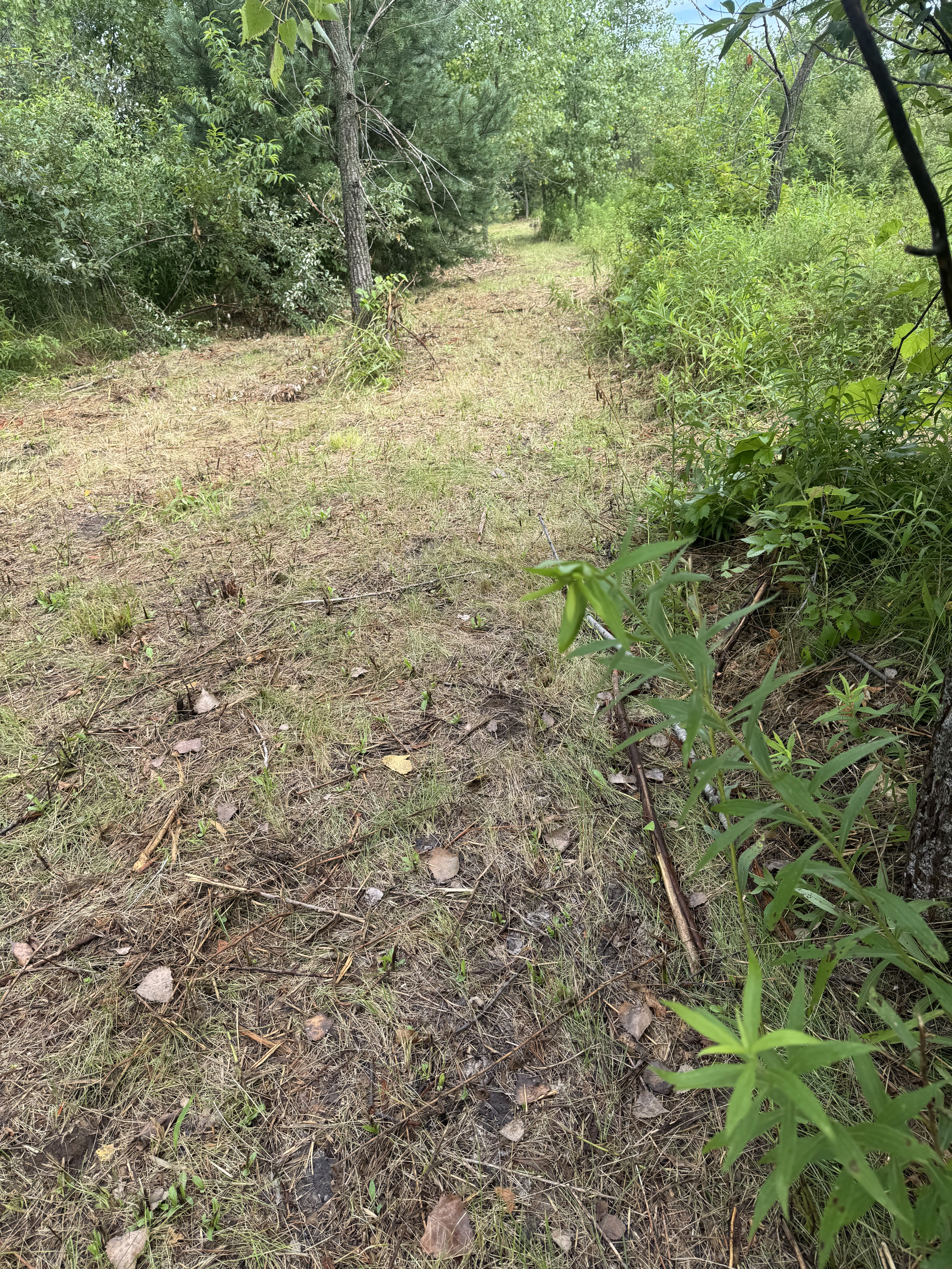 IMG_7911.jpeg