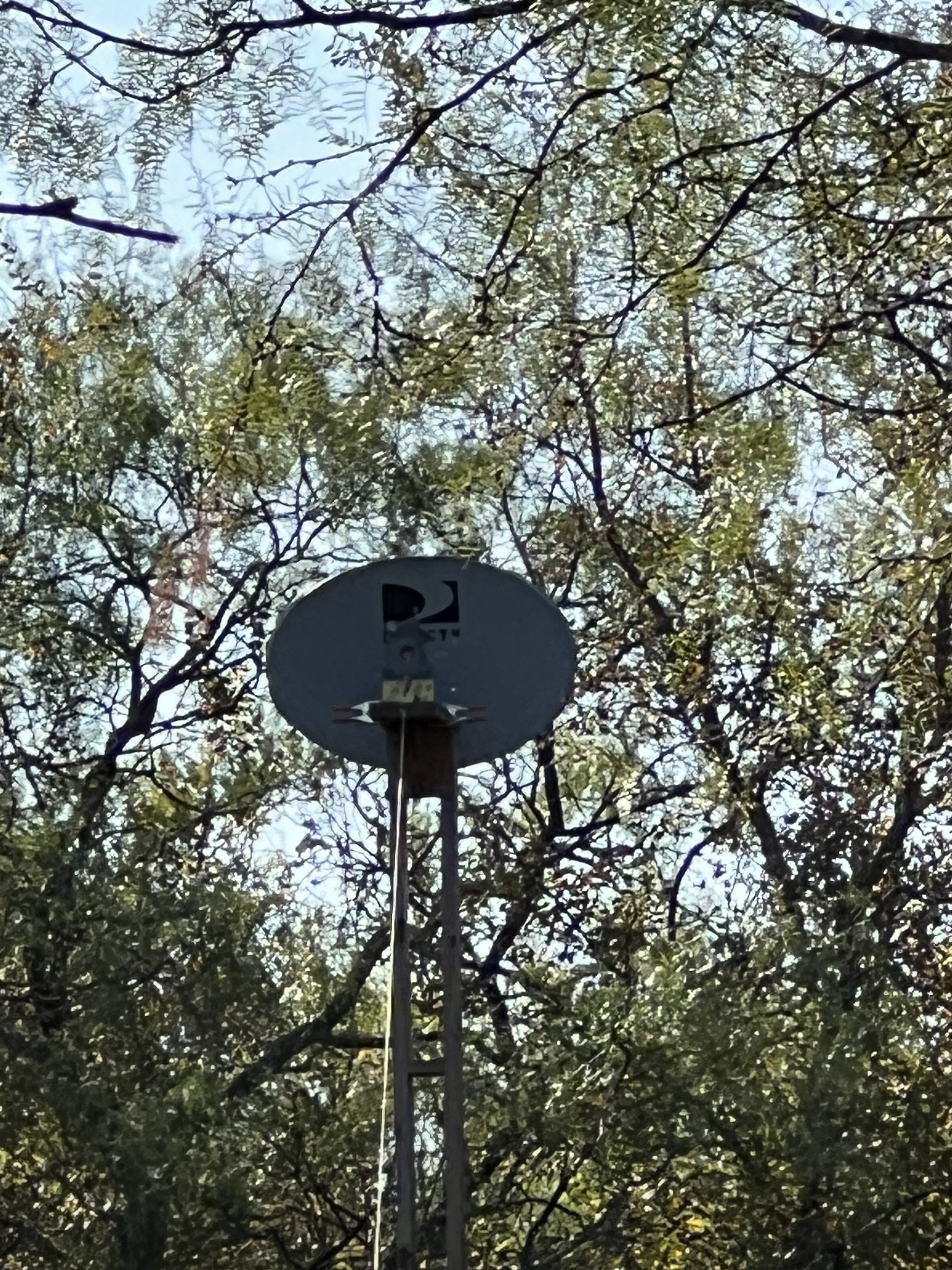 IMG_8210.jpeg