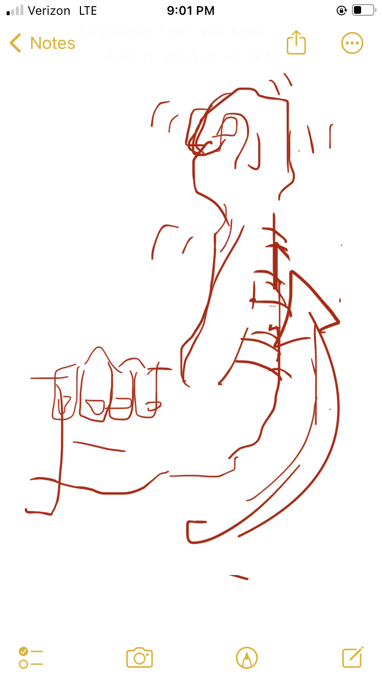 IMG_8433.png
