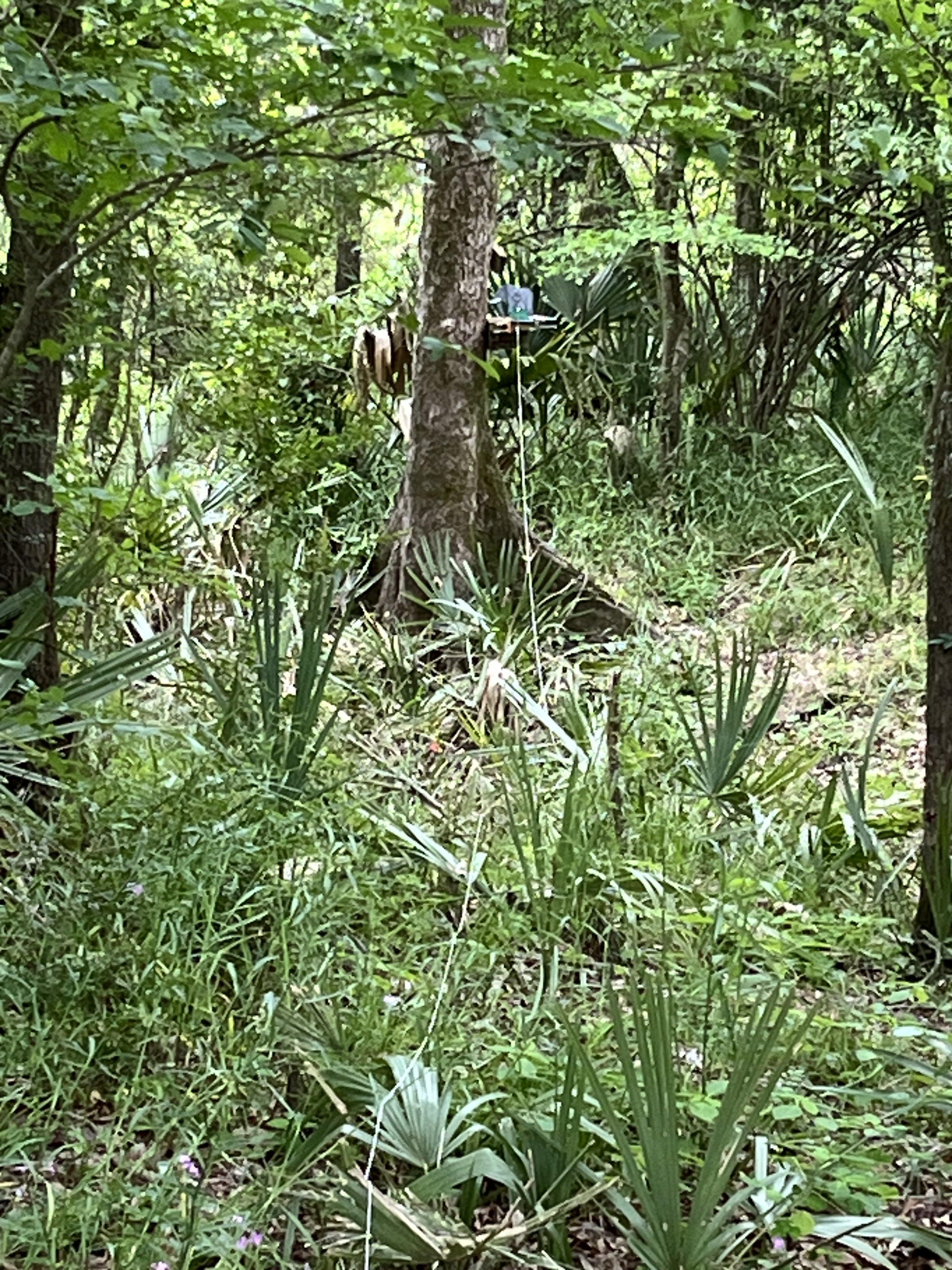 IMG_9720.jpeg