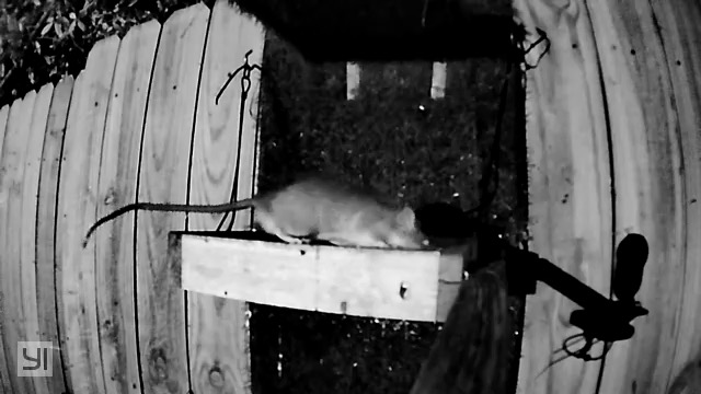 IMG_9872.jpeg