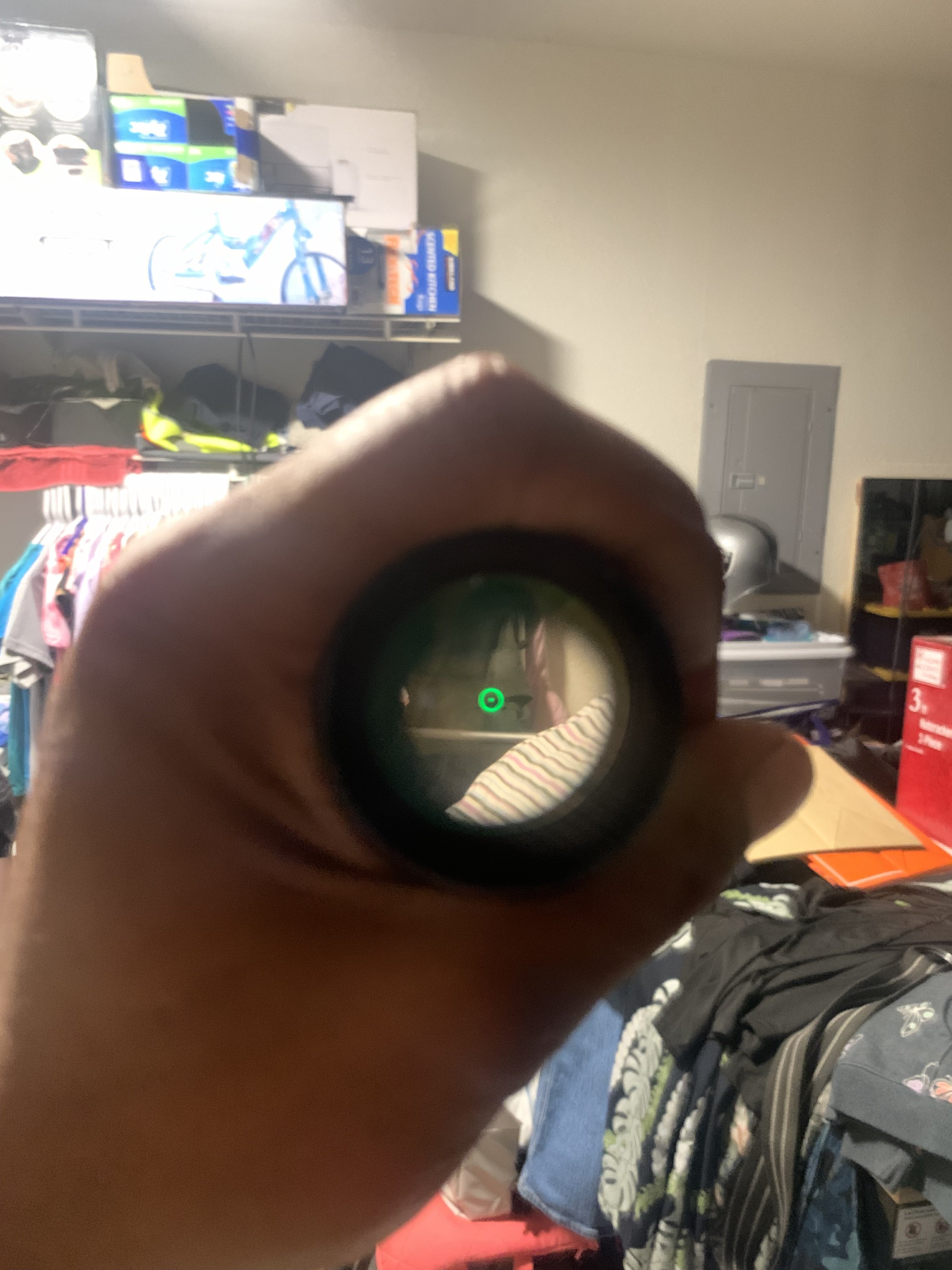 IMG_9884.jpeg