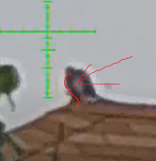 impact.1620504954.jpg