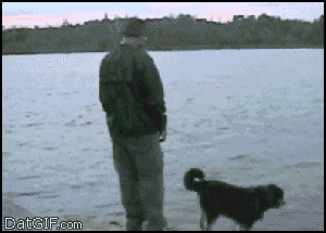 IN 01.gif