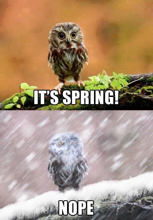 Its spring.jpg