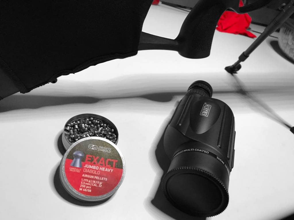 jsb22pelletsday01.1609938170.jpg