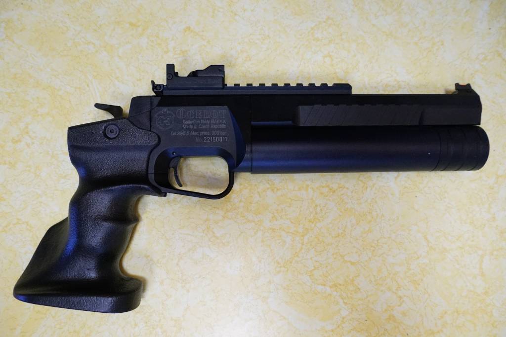 Kaliburgun Ocelot, .22.1635183573.JPG