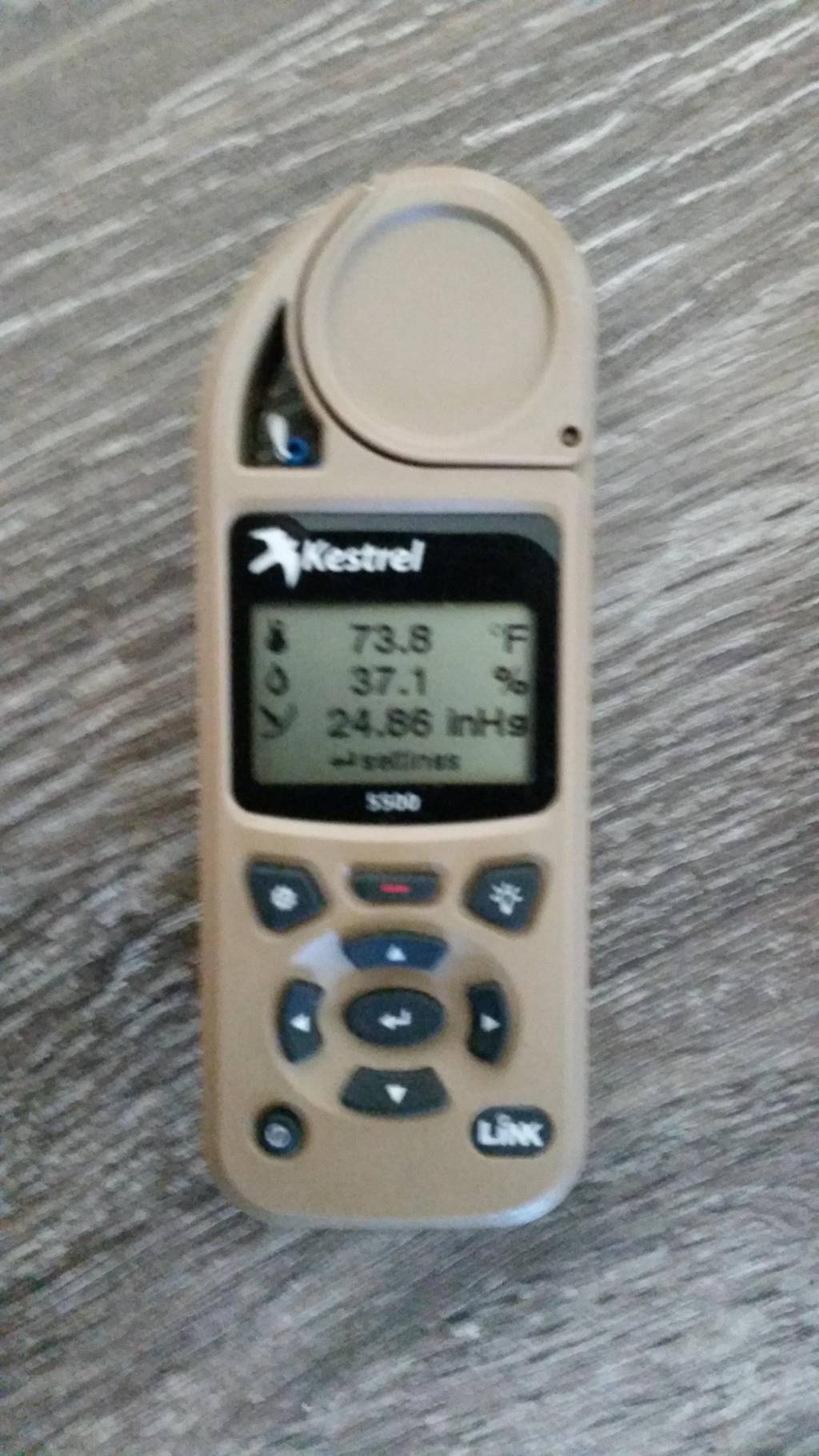 Kestrel3.1600963710.jpg