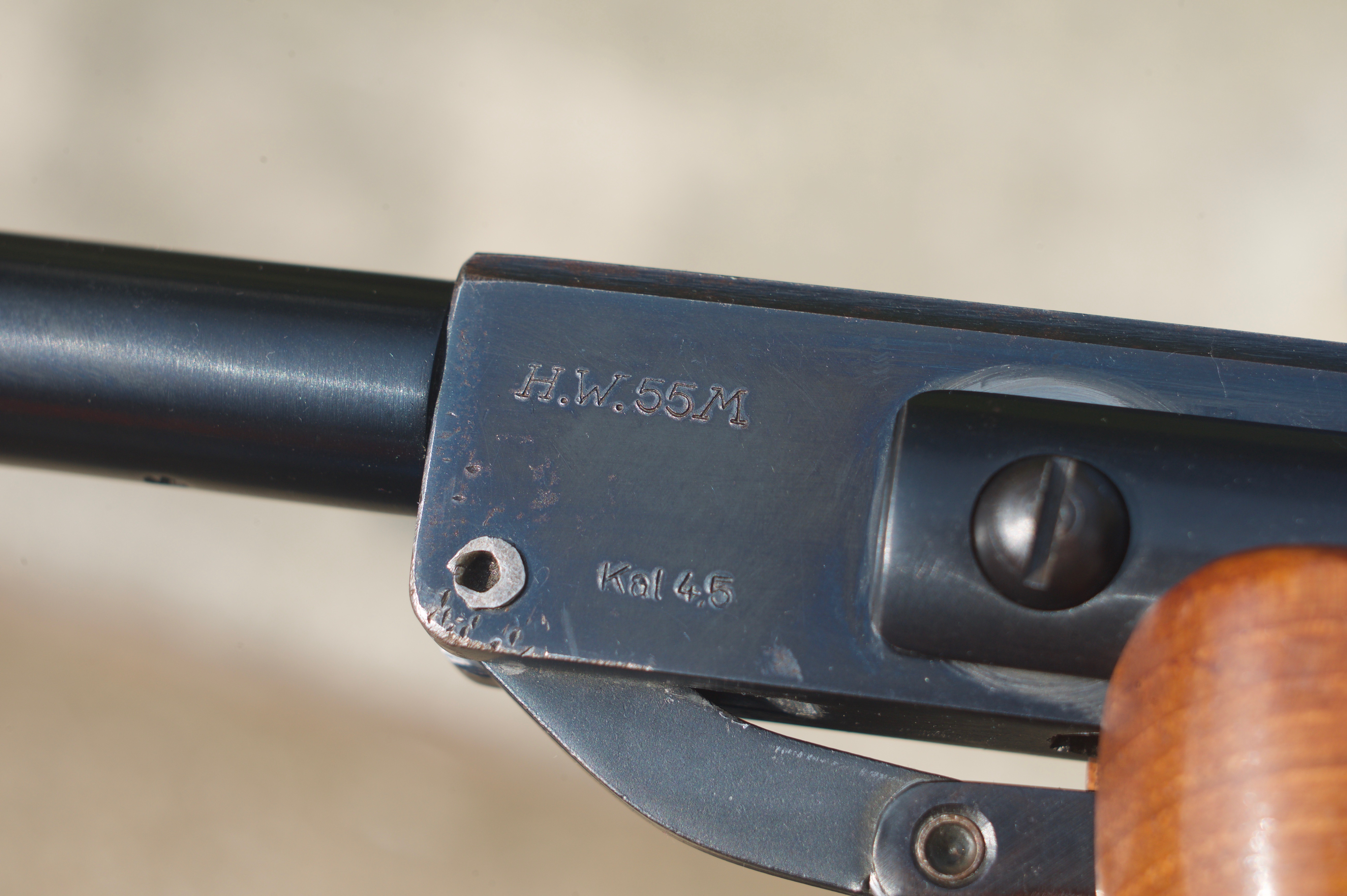 L1009235.jpg