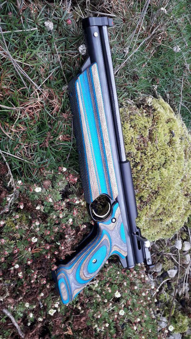 laminate crosman 1.1606195441.jpg