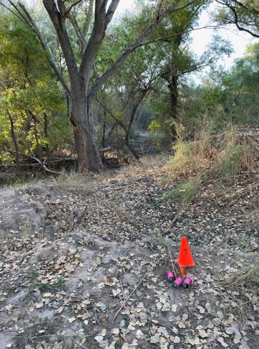 lane 7.jpg