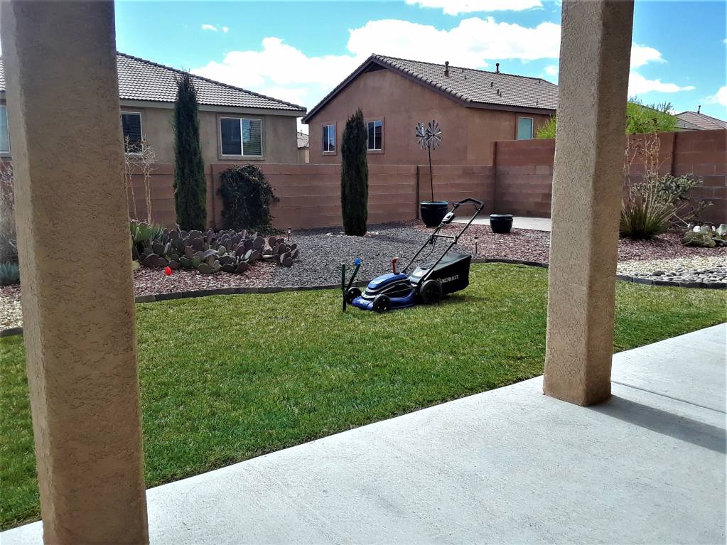 lawn 4.1608483404.jpg