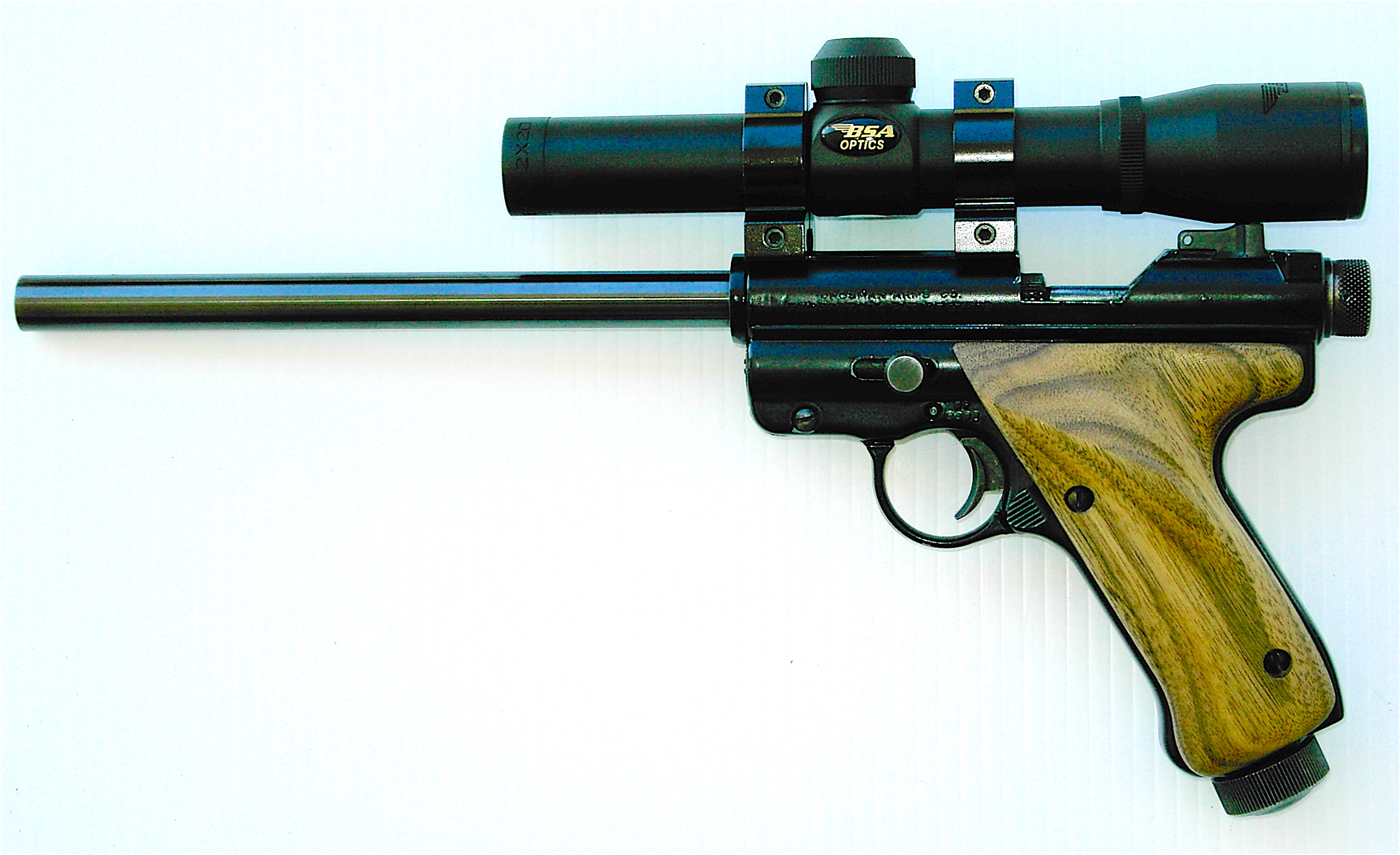 LD LS 10 in.JPG