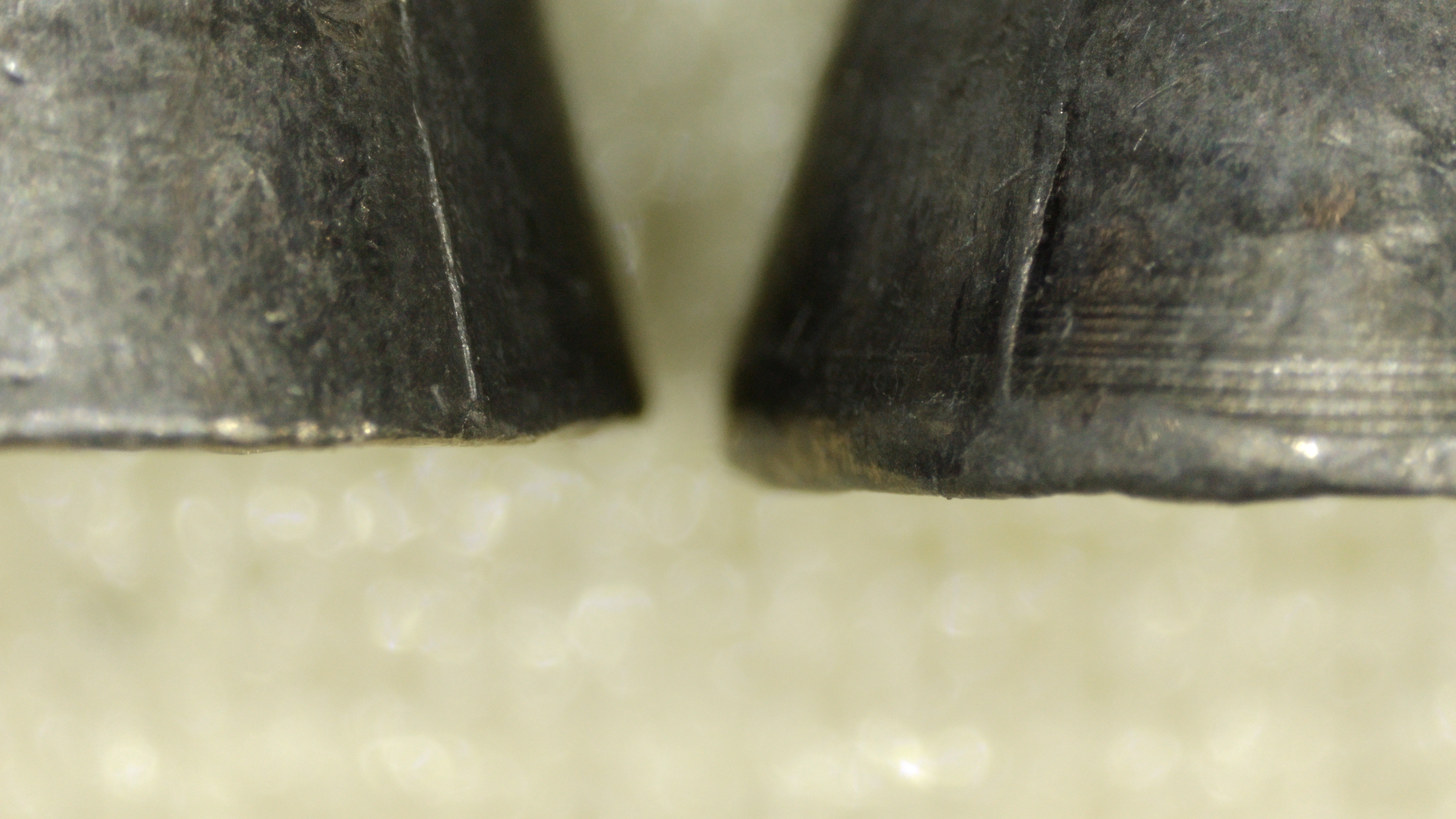 Left FX 30 Cal 50.2 Grain Pellet - Right JSB Hades Diabolo 30 Cal 44.75 Grain Pellet 010.JPG