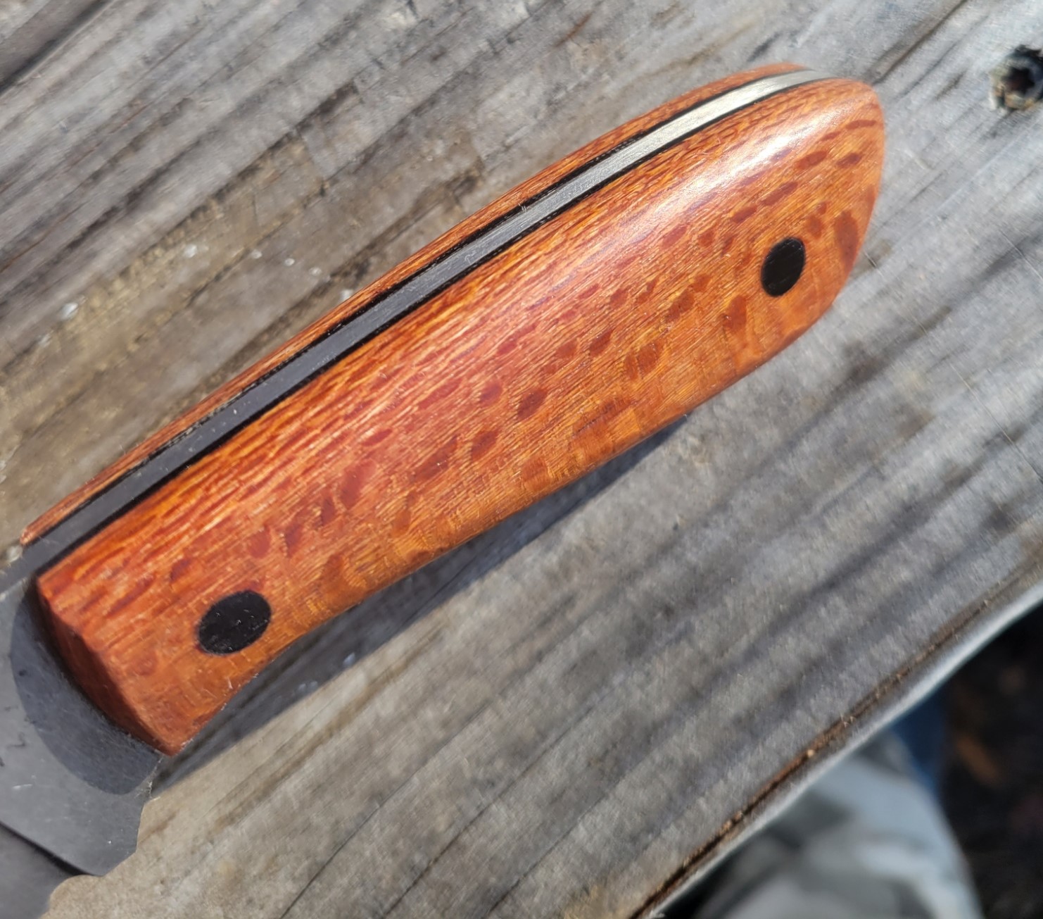 leopardwood.jpg
