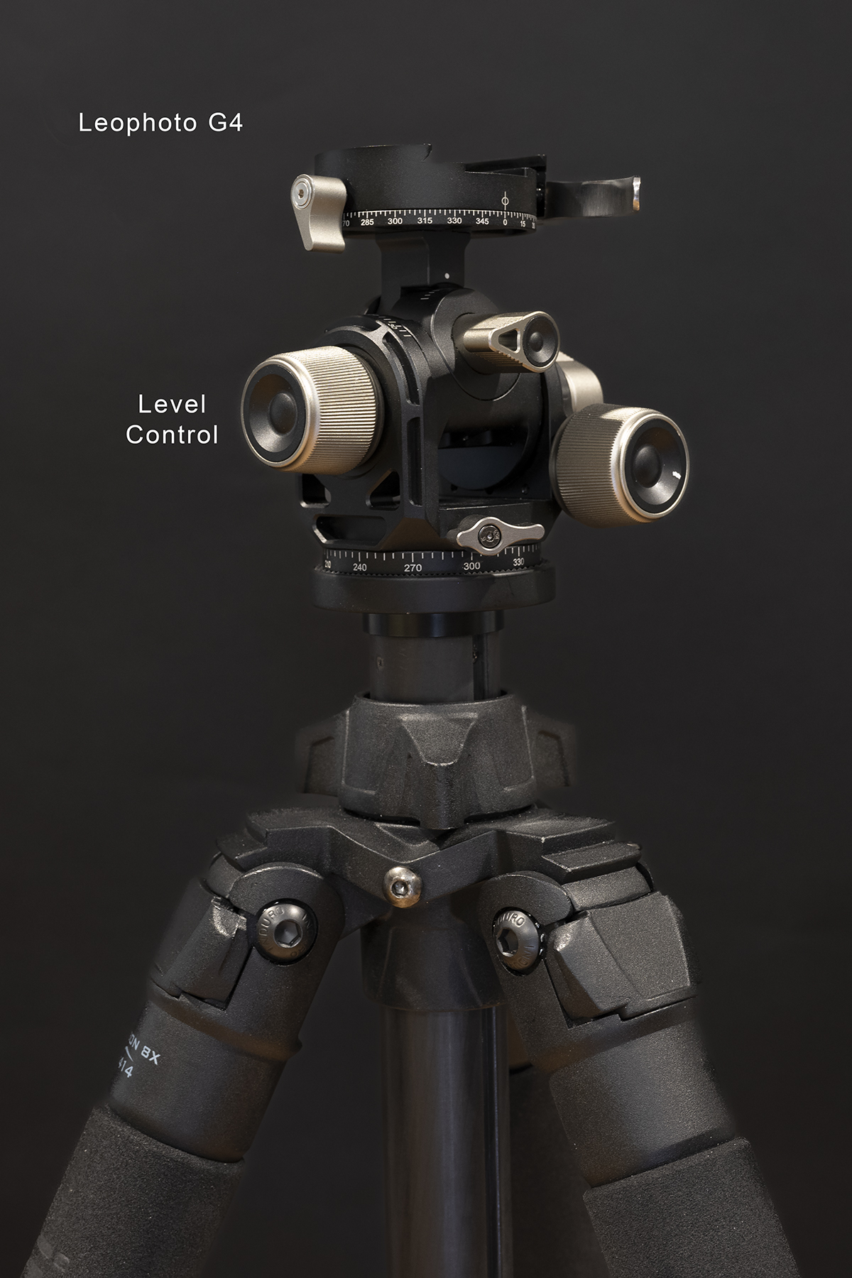 Leophoto.jpg