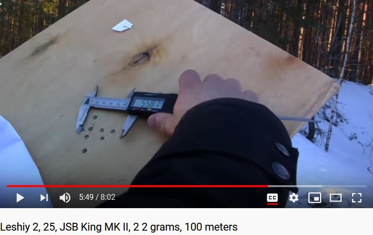 Leshiy 2, 25, JSB King MK II, 2 2 grams, 100 meters.1600944043.JPG