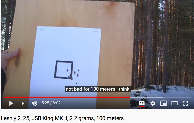 Leshiy 2, 25, JSB King MK II, 2 2 grams, 100 meters.1600955452.JPG