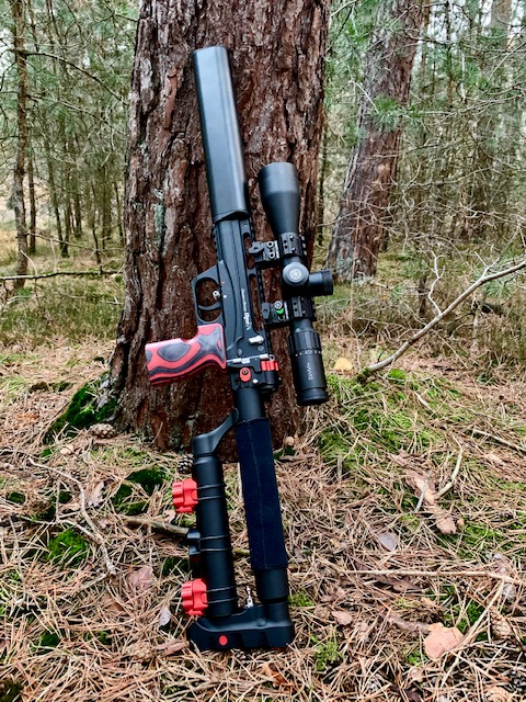 leshiy 2 forest.1605782119.jpg