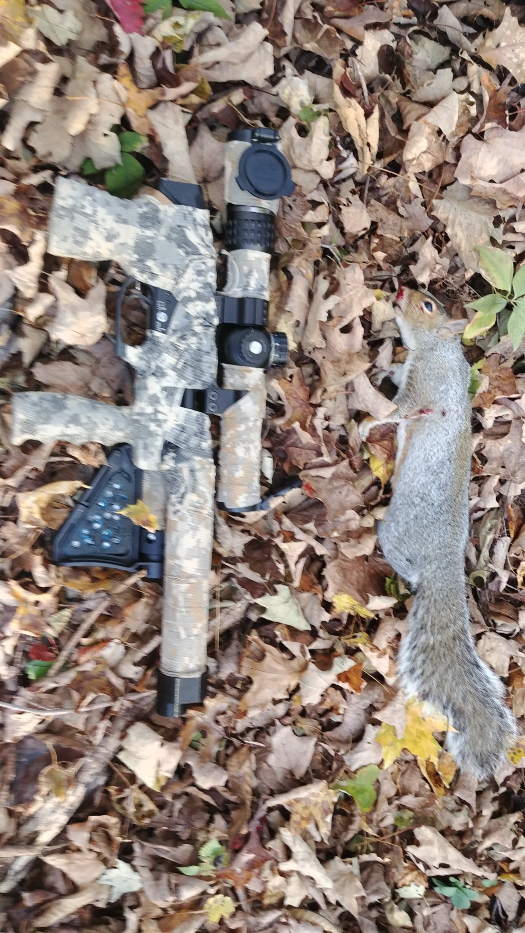 leshiy squirrel.jpg