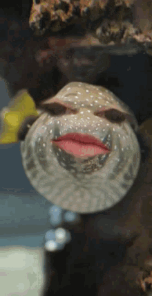 lick-it-baby-cute.1615156613.gif