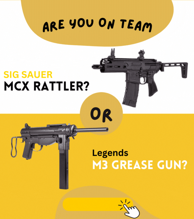 Listrak_main-comp_rattler_smaller.gif Listrak_main-comp_rattler_smaller.gif