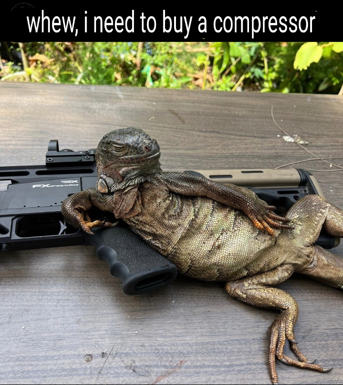 lizzard2.jpg