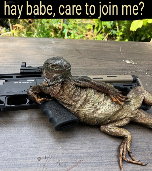 lizzard4.jpg
