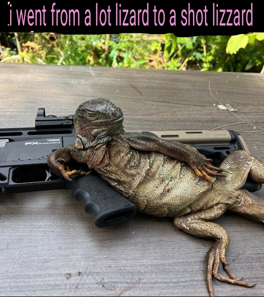 lizzard5.jpg
