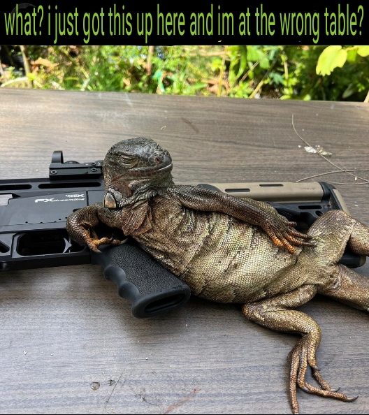 lizzard6.jpg