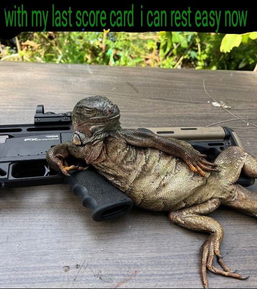 lizzard9.jpg