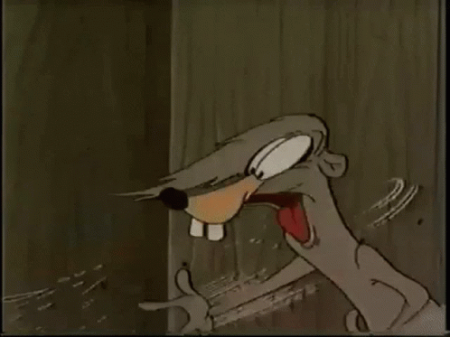 looney-tunes-cartoon.1640312143.gif
