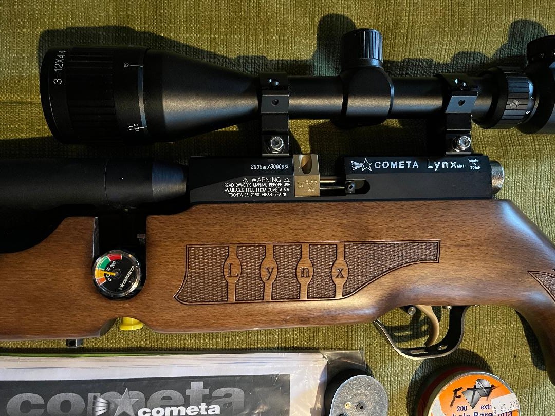 Lynx 4.jpg