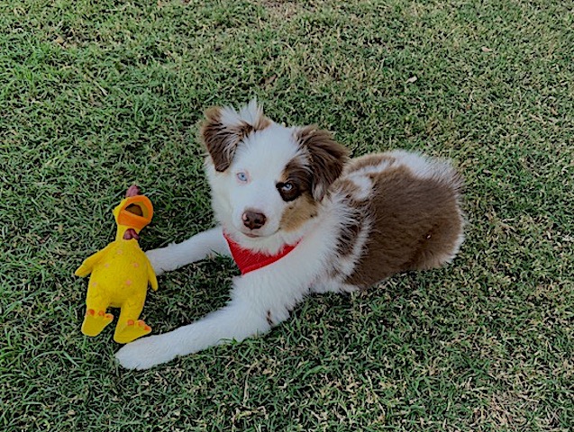 M and Ducky.1608225302.jpg