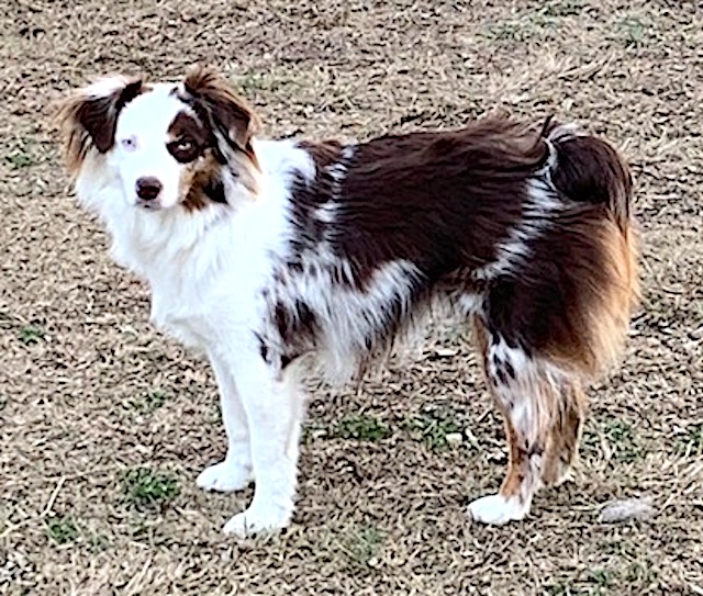 M profile.1649047428.jpg