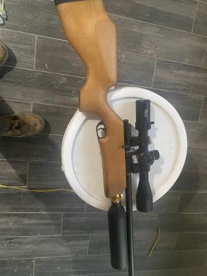 M16a1.jpg