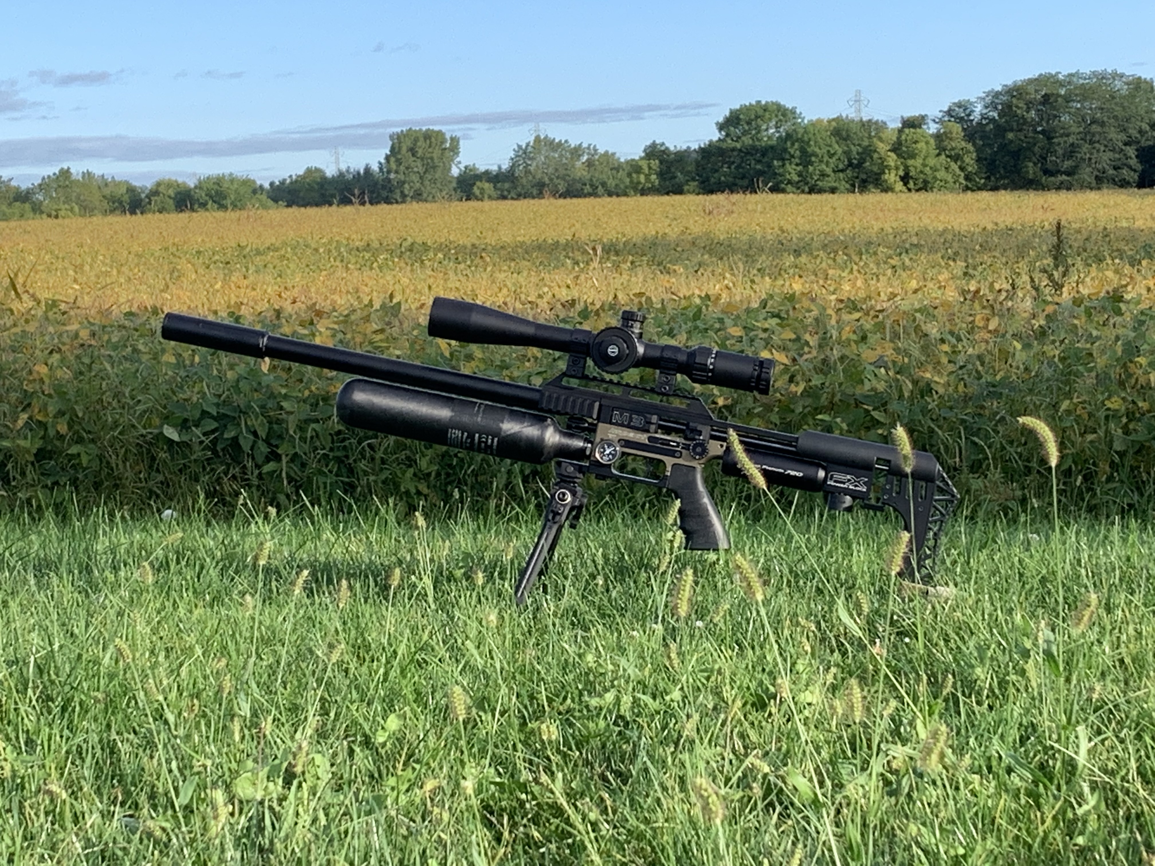 M3.jpg
